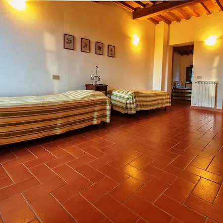 Poggio Al Tesoro Pisa