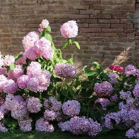 Feriegård Poggio Al Tesoro Pisa *