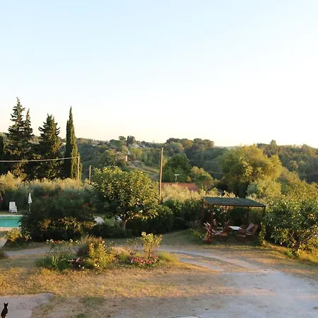 Poggio Al Tesoro Pisa