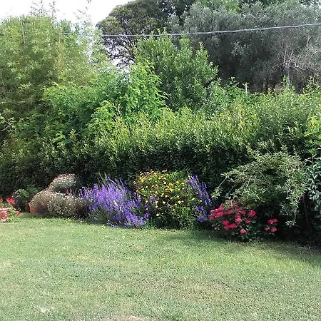 Poggio Al Tesoro Pisa *