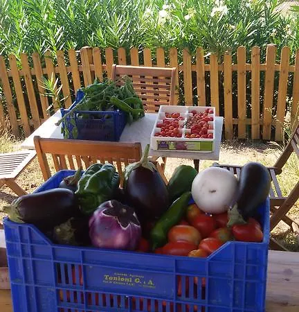 Poggio Al Tesoro Pisa Crespina