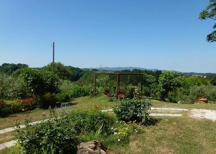 Poggio Al Tesoro Pisa *