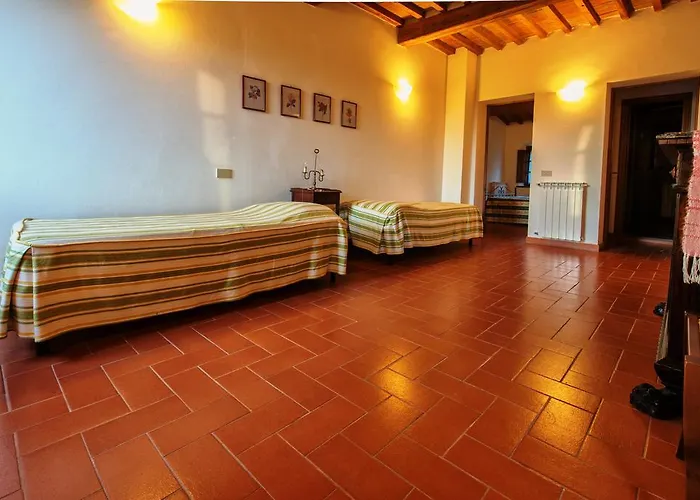Poggio Al Tesoro Pisa