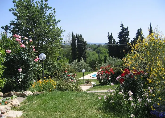 Poggio Al Tesoro Pisa