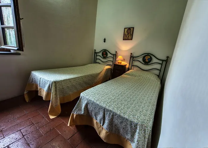 Poggio Al Tesoro Pisa