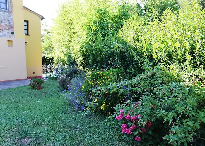 Poggio Al Tesoro Pisa Gospodarstwo agroturystyczne Crespina